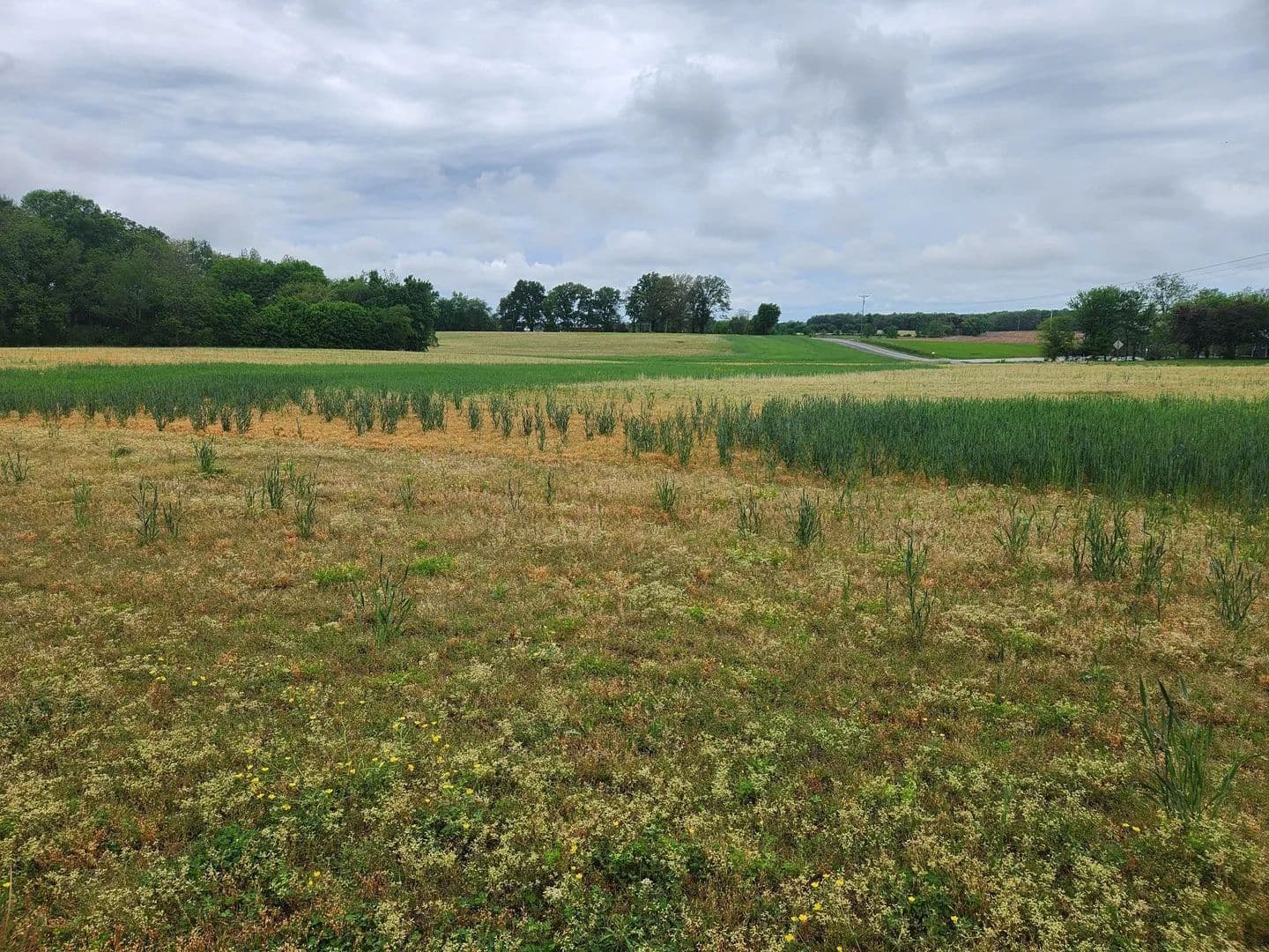 Lots & Land-Other in Manchester - Manchester, Tennessee, 37355