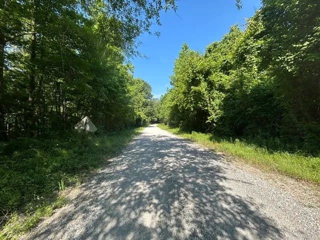 9.75 Acres | Wilkinson County, MS