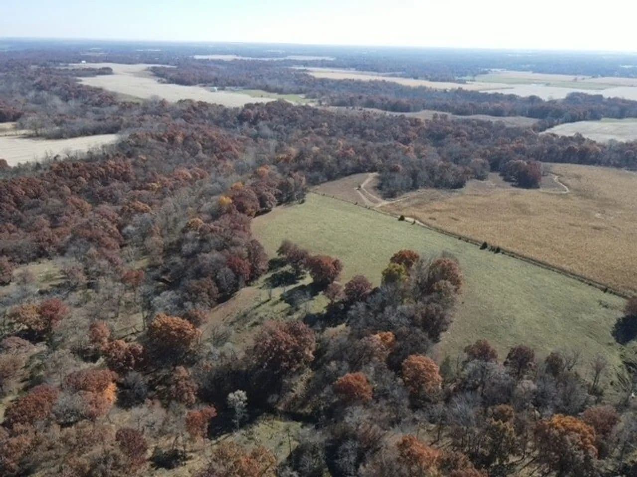 Brown County Illinois 86+- acre hunting/farm/pasture - Mount Sterling, Illinois, 62353