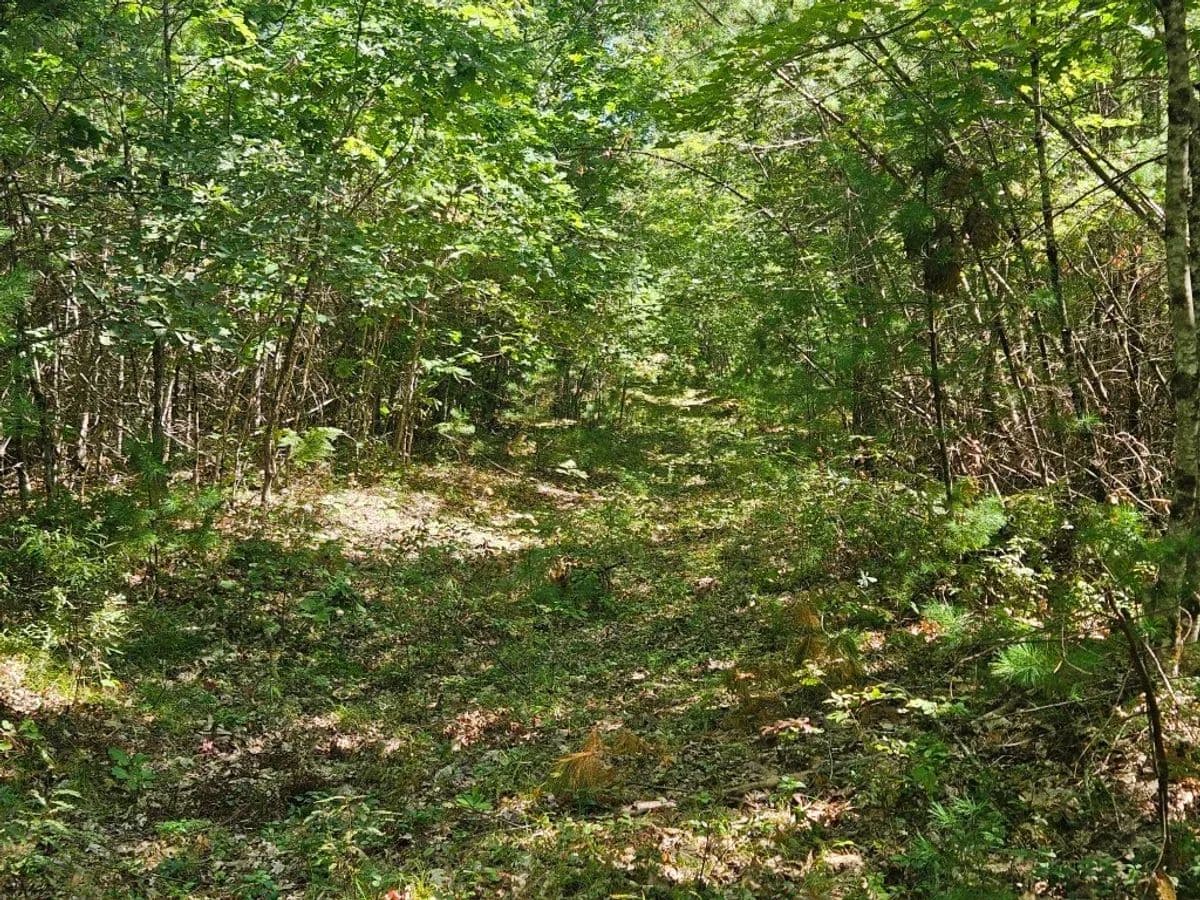 Standish, Lot 9G Pequawket Trail - 3.97 acres - Standish, Maine, 04084