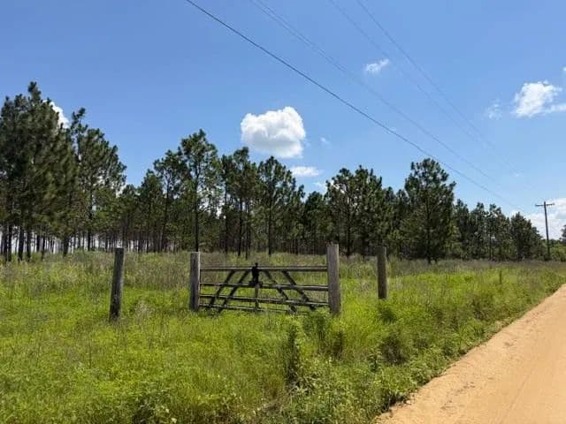 21.37 Acres of Land for Sale in Ashburn, Georgia - Ashburn, Georgia, 31714