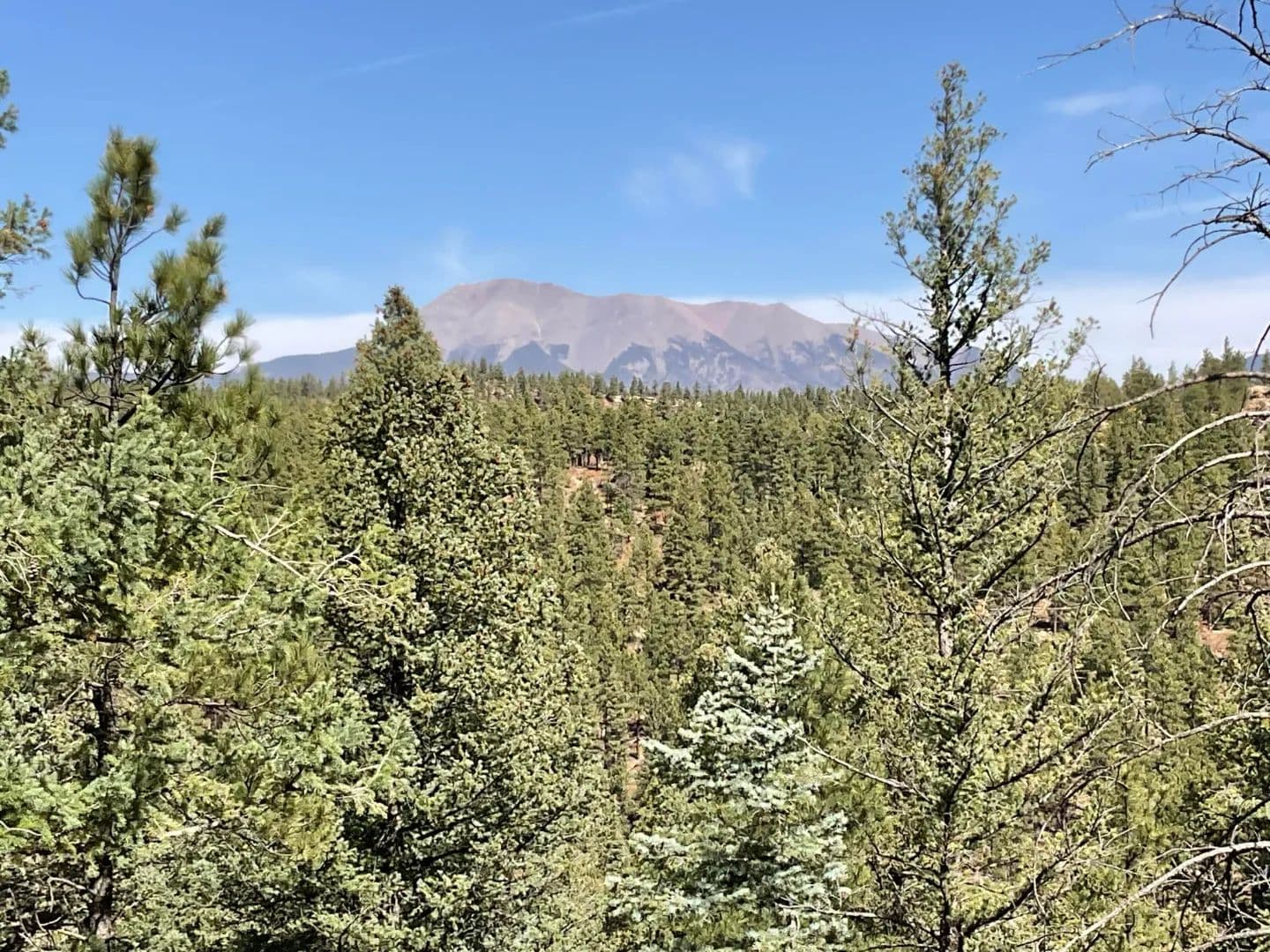 160 Acres San Pablo Canyon, Weston, CO 81091 - Colorado, 81091