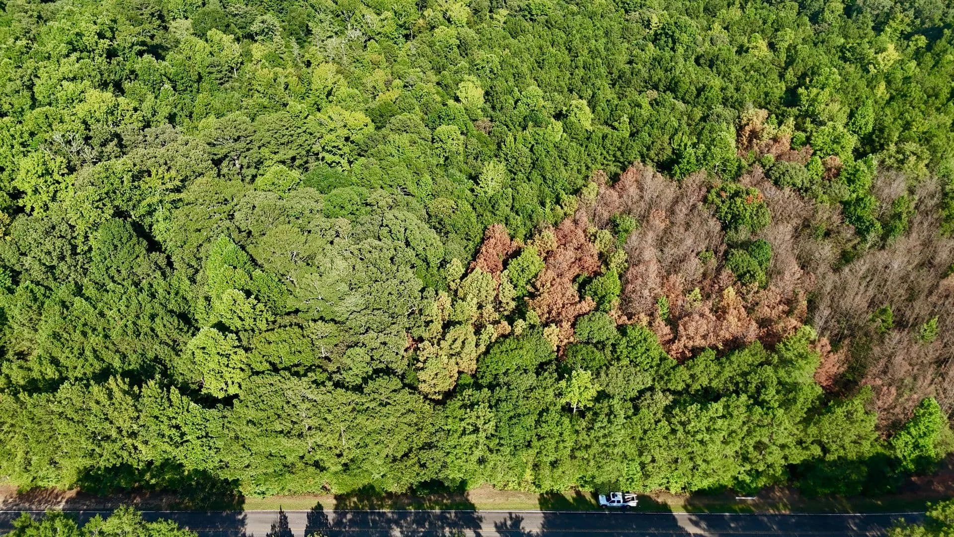 Tract A - Cool Springs Rd, Douglas Co., GA - Winston, Georgia, 30187