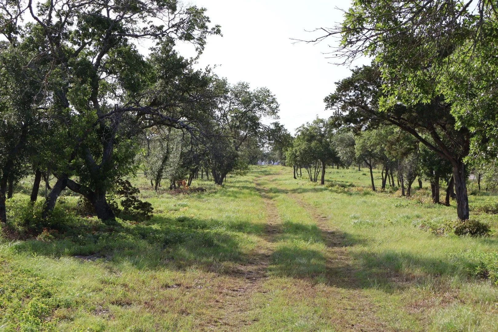 Land -Single Family Acreage in Bertram - Bertram, Texas, 78605