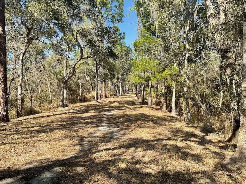 Lots & Land-Other in BOWLING GREEN