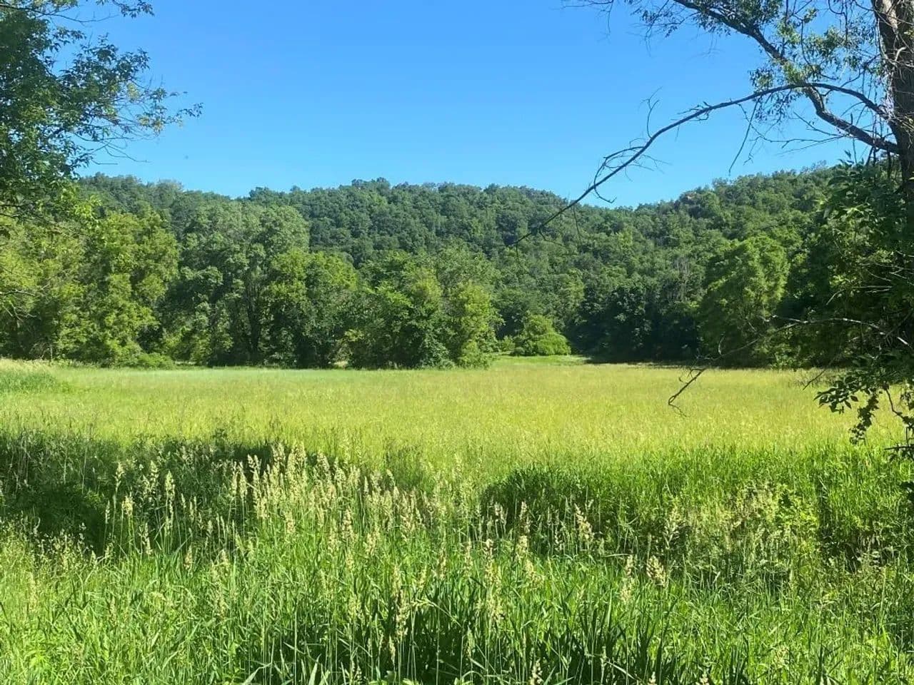 Deep River Farm  - Legacy Property - Lanesboro, Minnesota, 55949