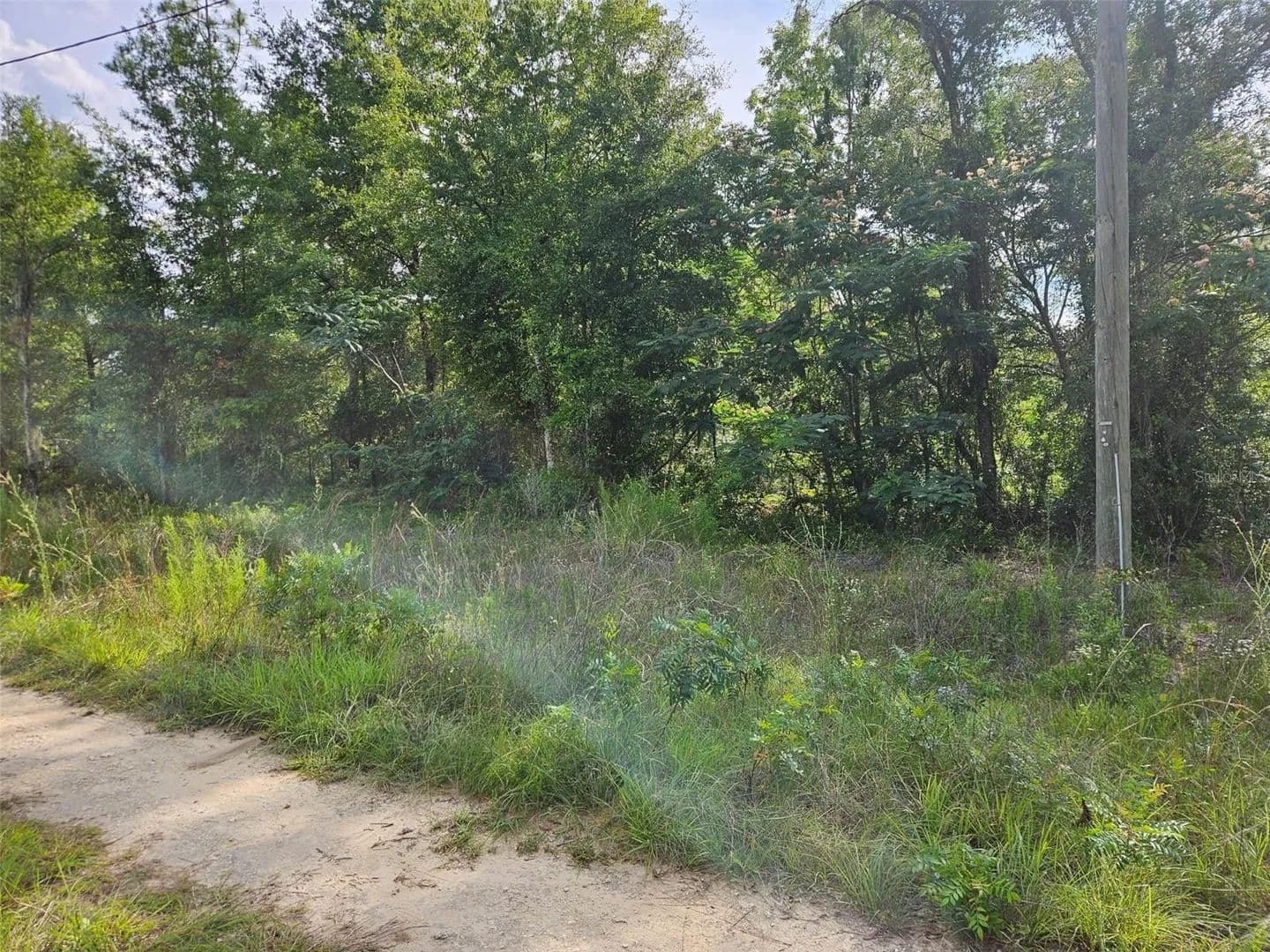 Property from TBD NE 153RD AVENUE - KW - Williston, Florida, 32696