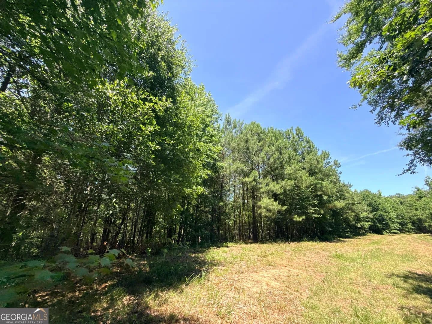 19.71 Acres of Land for Sale in Elberton, GA - Elberton, Georgia, 30635