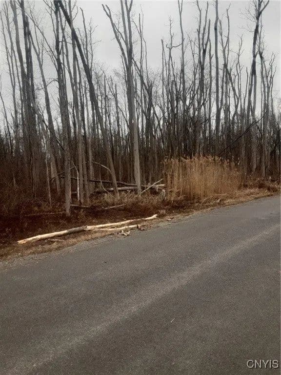 Lots & Land-Other in Canastota