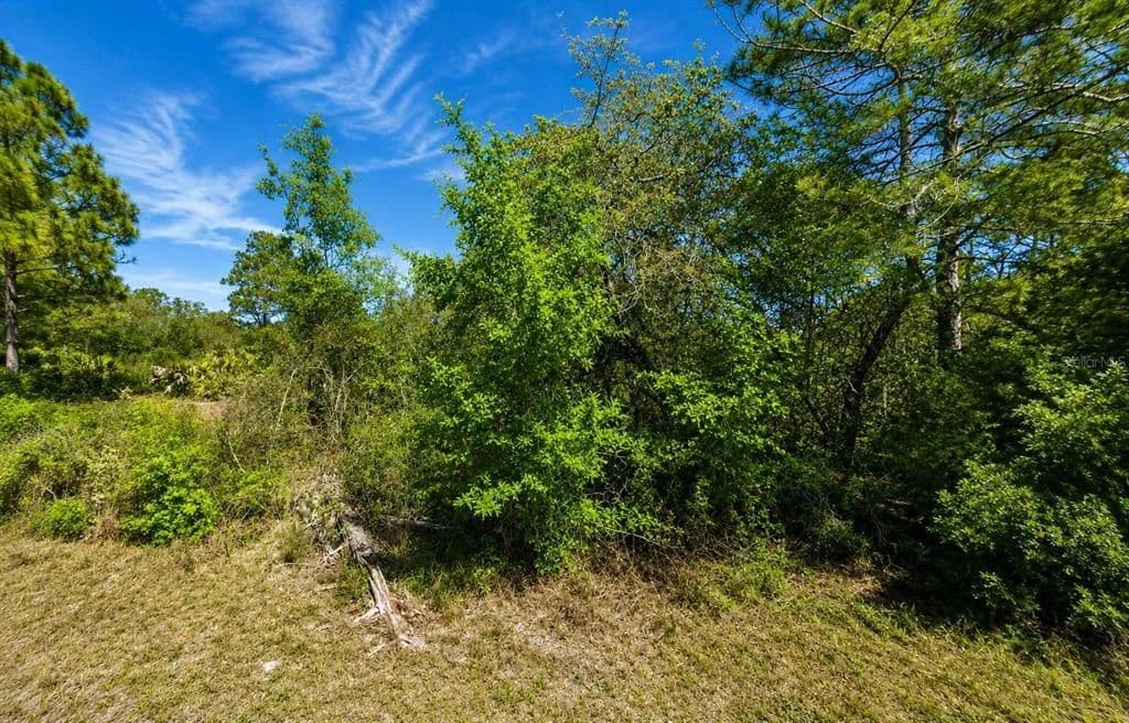 Vacant Land in Lake Placid - Lake Placid, Florida, 33852