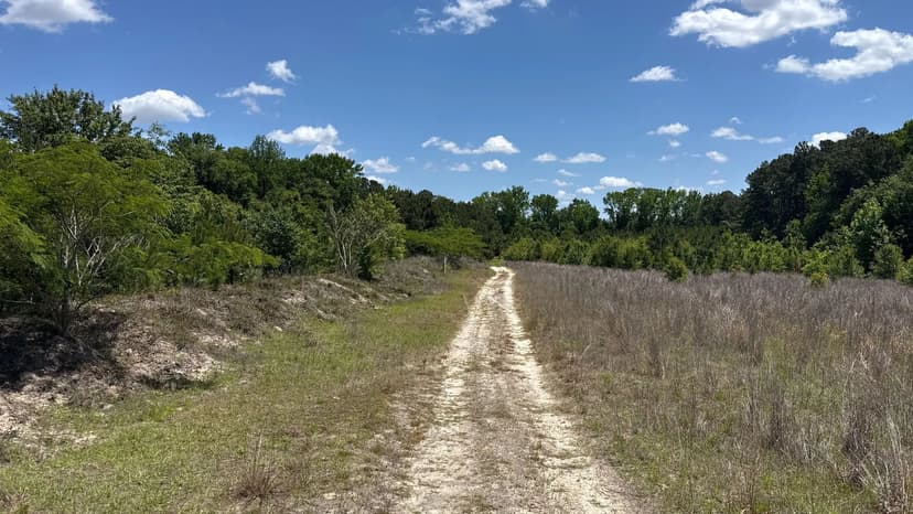 Land -Agricultural (Not Zoned) in Red Springs