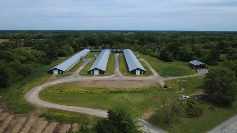 Noxubee 3 House Tyson Egg Farm