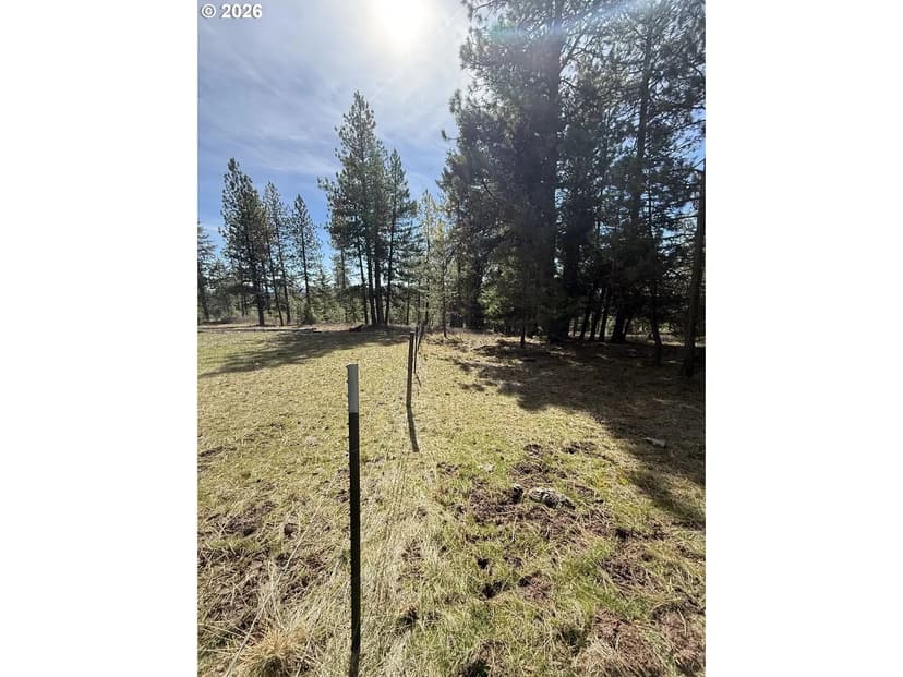 Vacant Land in Pilot Rock