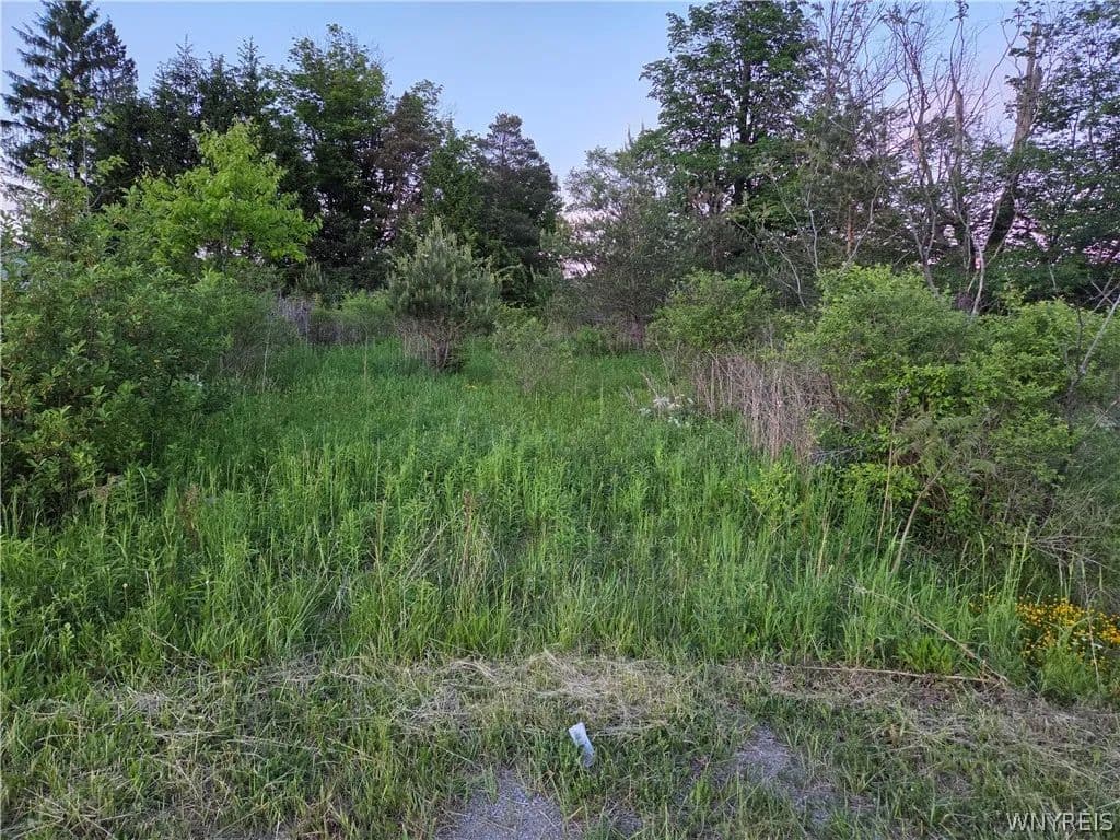 Property from Horn Hill Road - KW - Ellicottville, New York, 14731