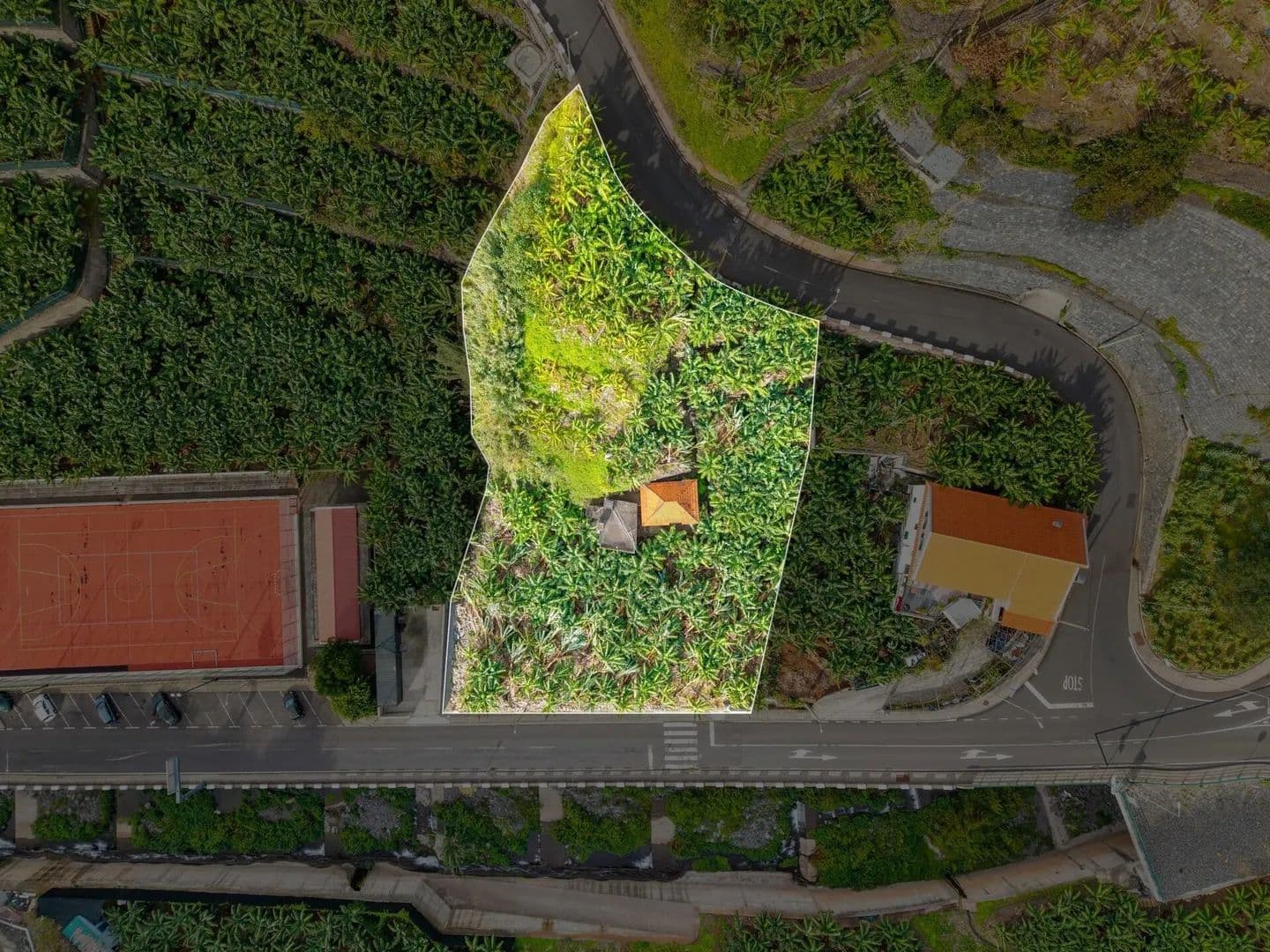 2222 Acres of Land for Sale in Madalena do Mar, Ponta do Sol - land for sale