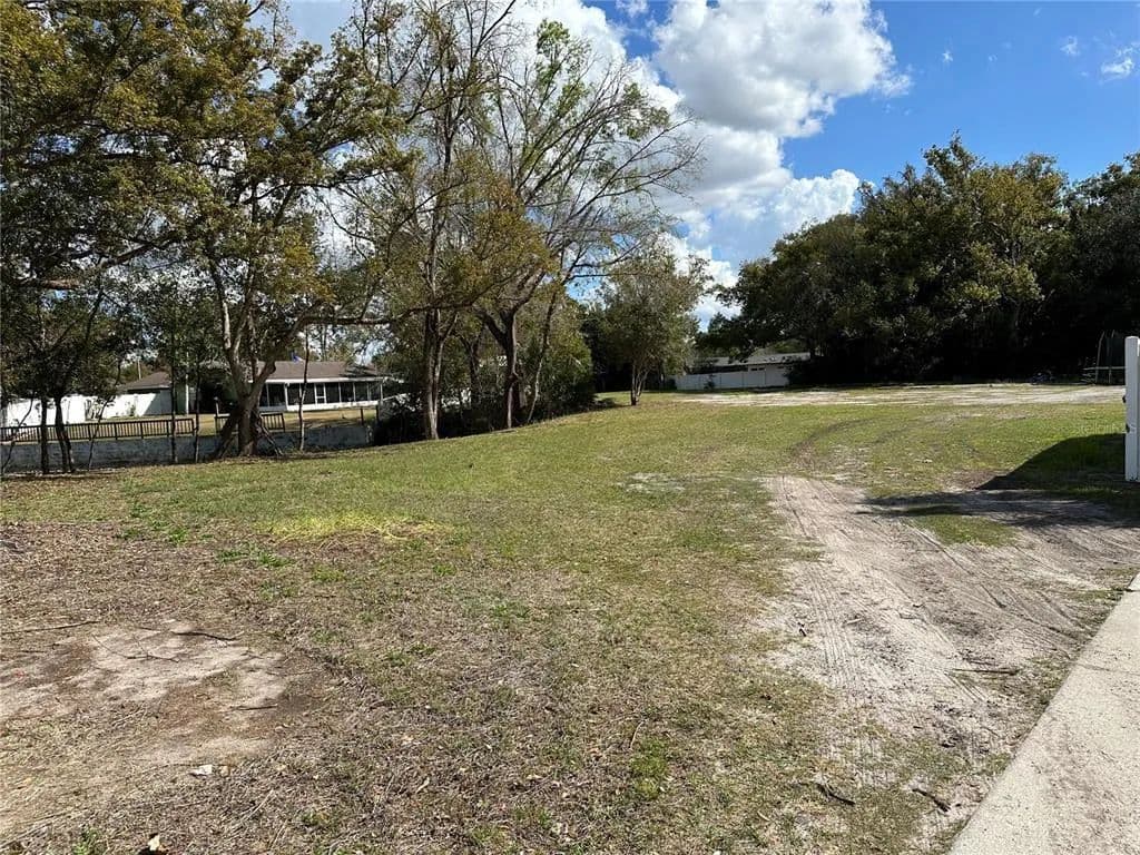 Vacant Land in Lutz - Lutz, Florida, 33549