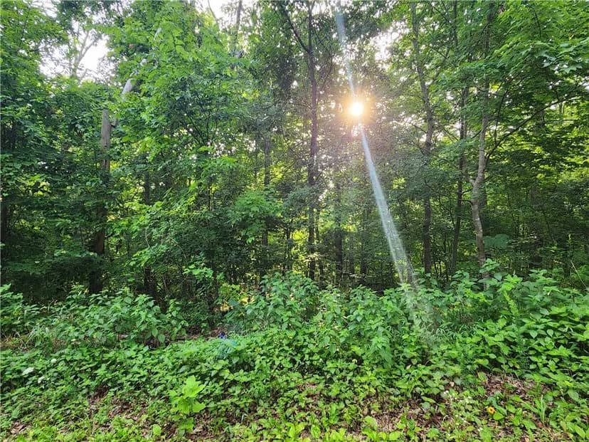 Property from Lot #2 Devonshire Drive - KW