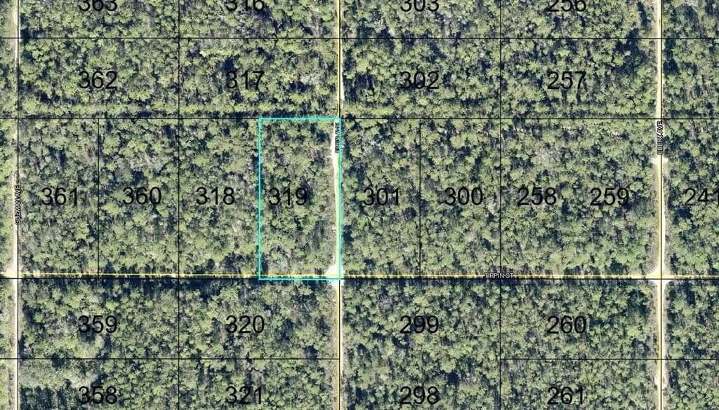 Vacant Land in Hastings - Hastings, Florida, 32145