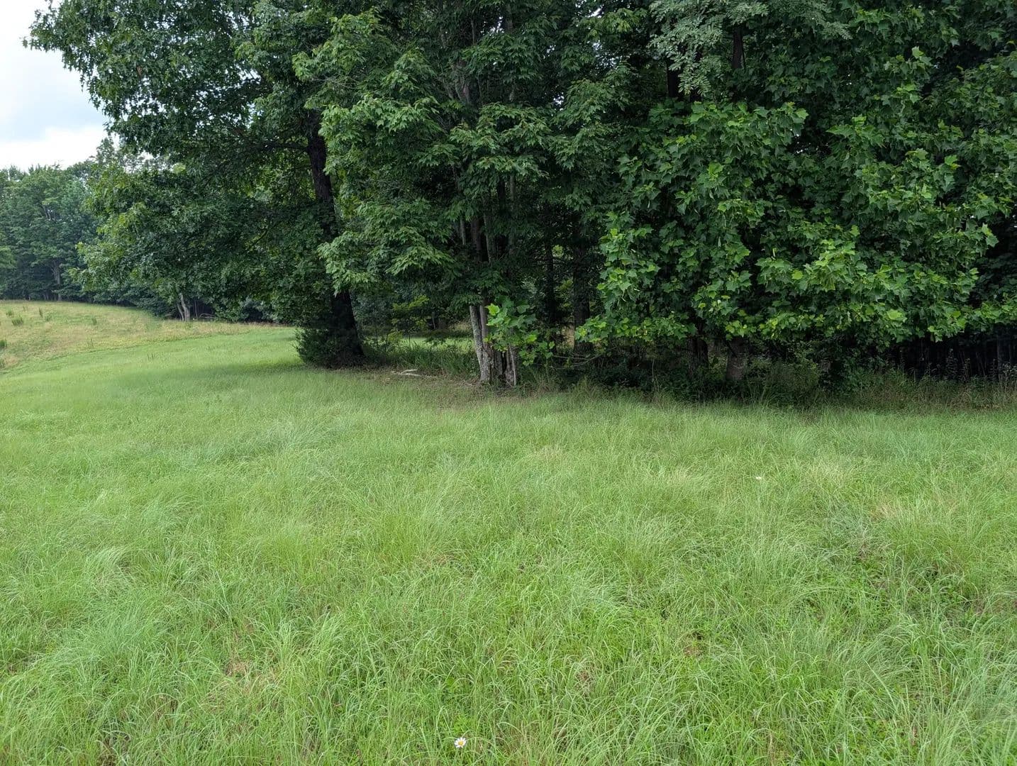 Land -Single Family Acreage in South Pittsburg - South Pittsburg, Tennessee, 37380