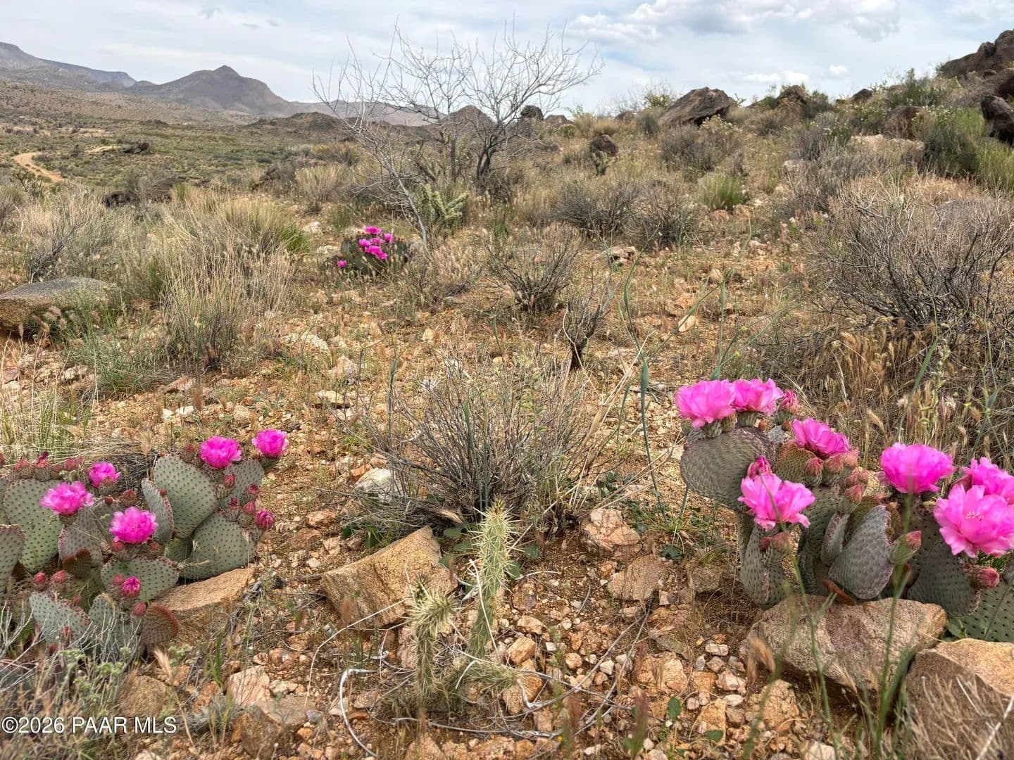 320 Acres of Land for Sale in Kingman, AZ - Kingman, Arizona, 86401