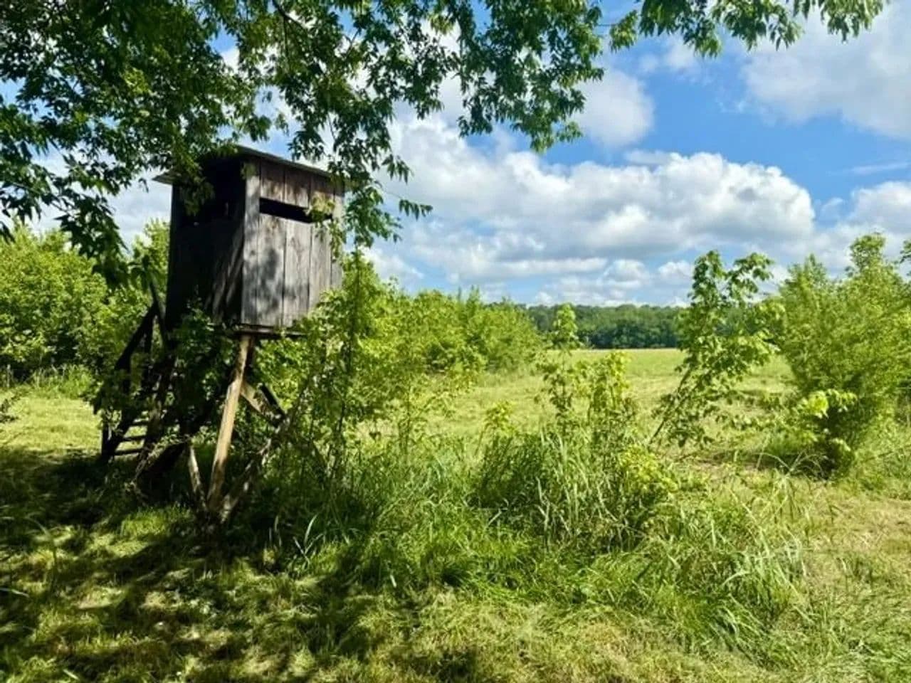 Bucksnort Cabin Tract 80, Hempstead County, AR - Hope, Arkansas, 71801