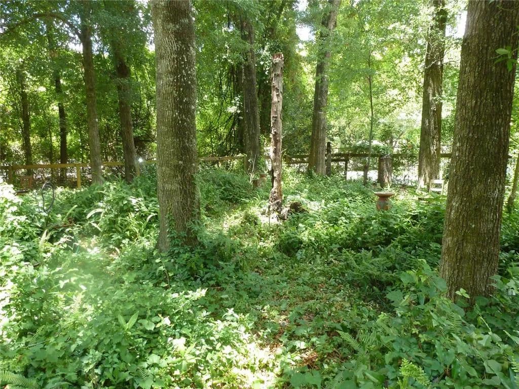 Vacant Land in Gainesville - Gainesville, Florida, 32607