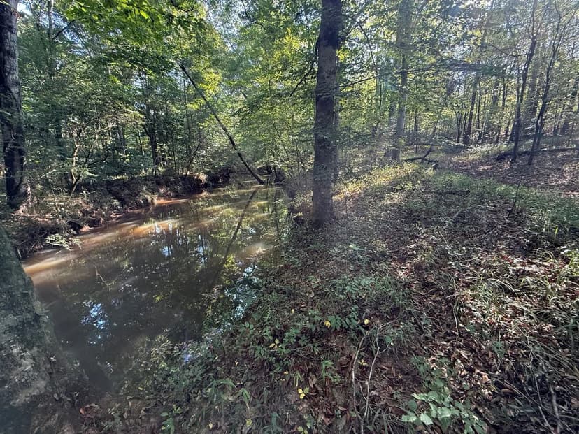Baker Creek 49 +/- ac Tract