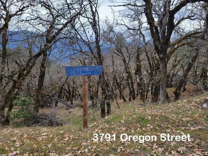 Lots & Land-Other in Weaverville