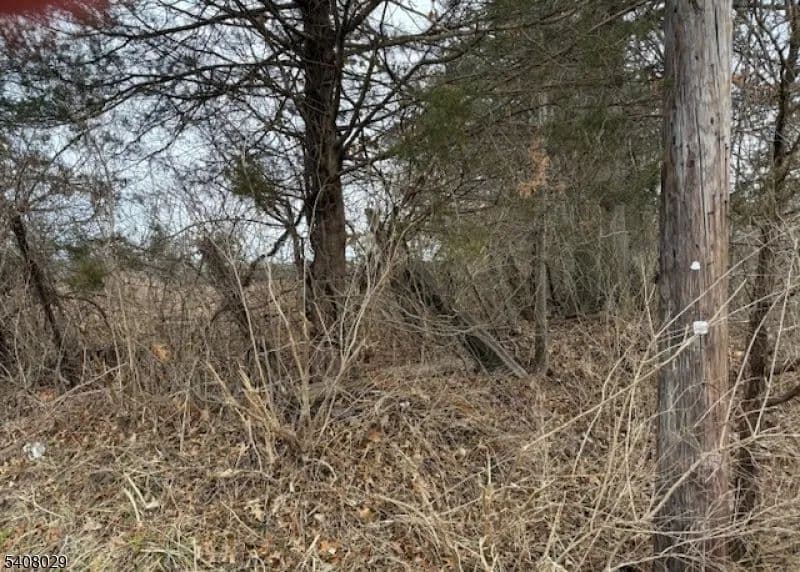 Vacant Land in Readington Twp.