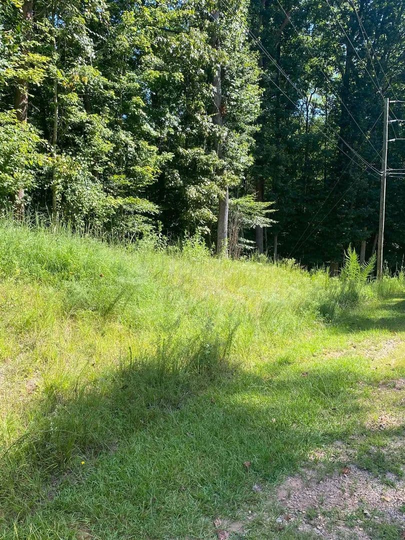 0.56 Acres of Land for Sale in Westminster, SC - Westminster, South Carolina, 29693