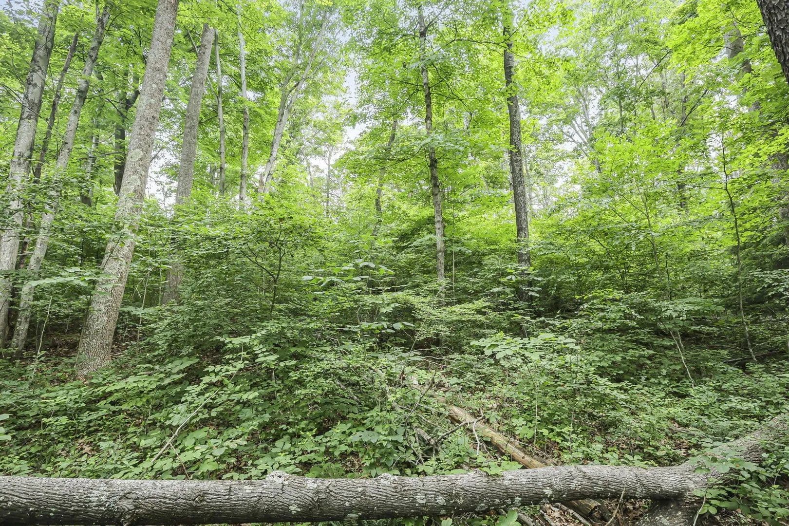 6.92 Acres of Land for Sale in South Bloomingville, OH - South Bloomingville, Ohio, 43152