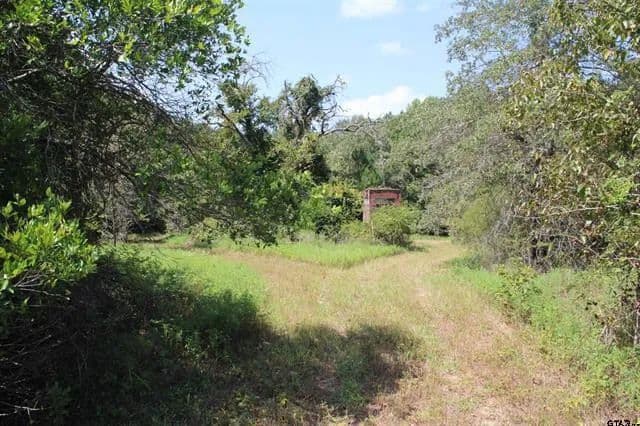 Land -Agricultural (Not Zoned) in Jacksonville - Jacksonville, Texas, 757664913