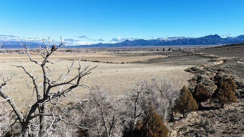47.8 Acres of Garfield County Agricultural Land