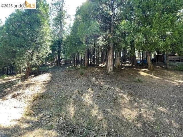 Lots & Land-Other in Long Barn - Long Barn, California, 95346