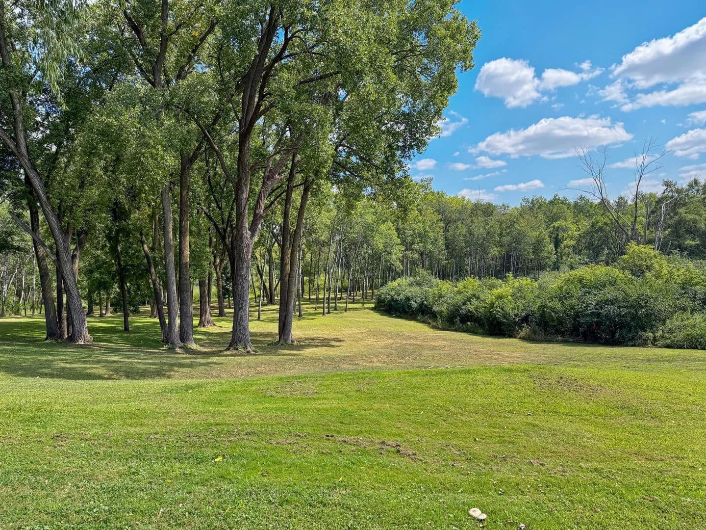 Vacant Land in Little Canada - Little Canada, Minnesota, 55109