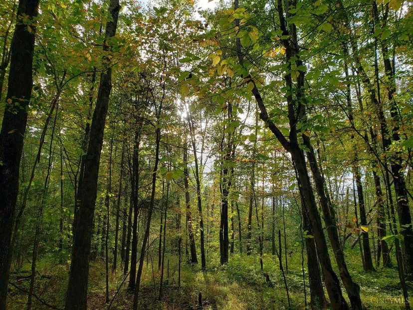 Property from 2698 Runway Avenue - KW