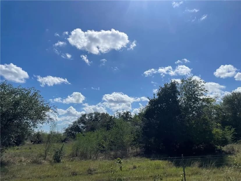 Property from 000 Old Goliad Rd - KW