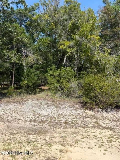Vacant Land in Supply - Supply, North Carolina, 28462