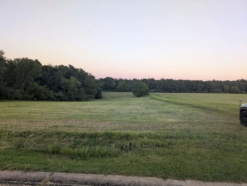 Vacant Land in Lake Carroll