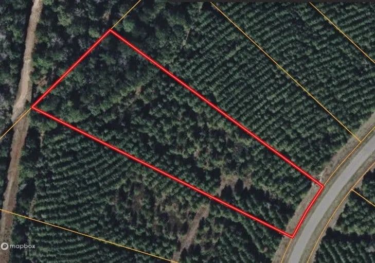 Property from 15705 Ridge Rock Road - KW - Willis, Texas, 77378