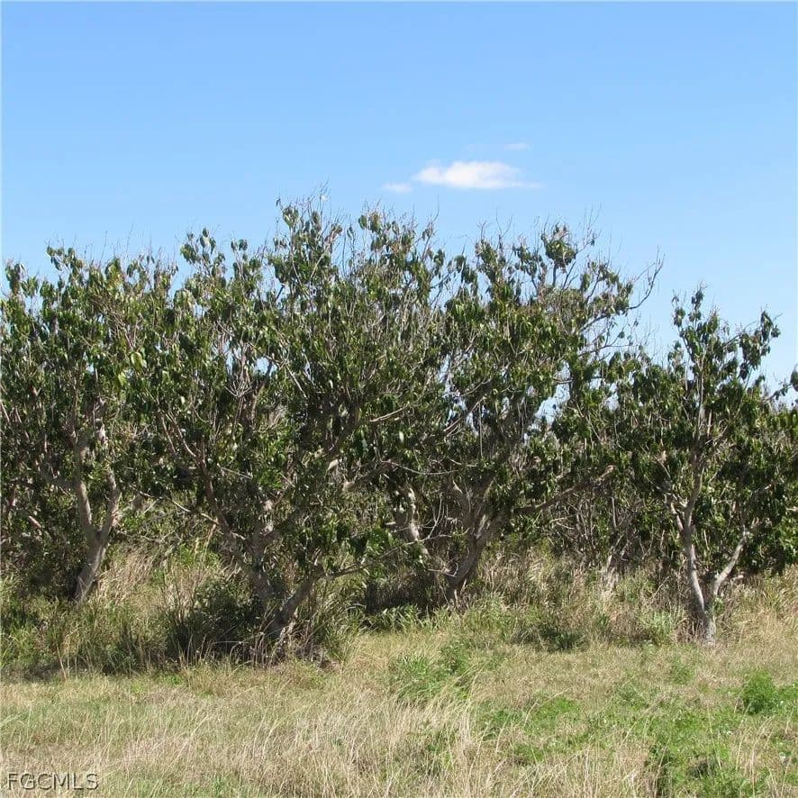 Vacant Land in Bokeelia - Bokeelia, Florida, 33922