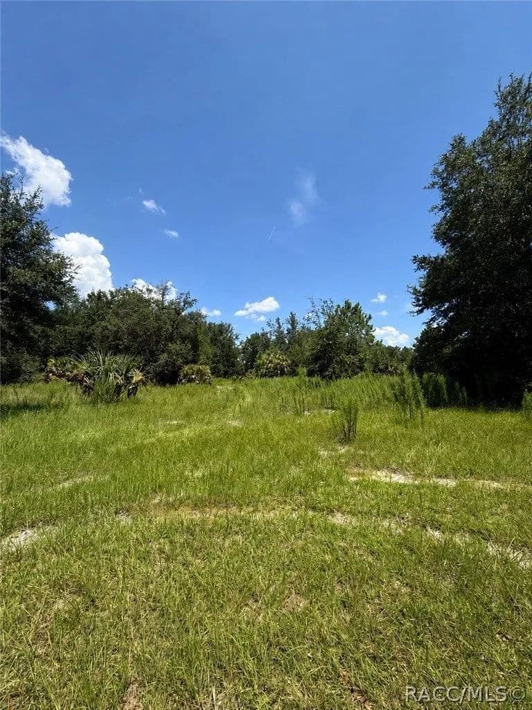 Lots & Land-Other in Crystal River - Crystal River, Florida, 34428