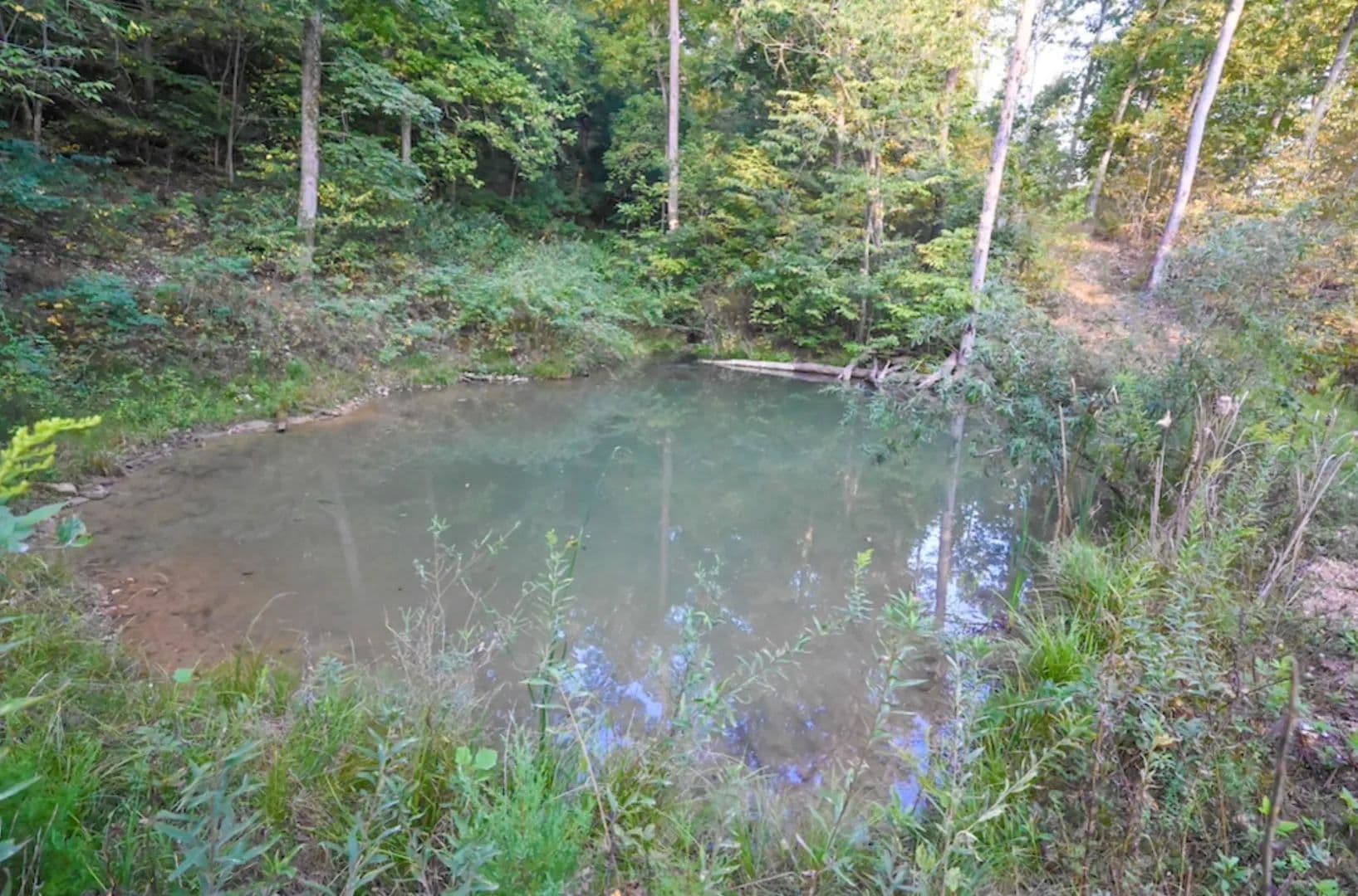 4.12+/- Acres Buildable Hunting Land In Webster County - Missouri, 65746