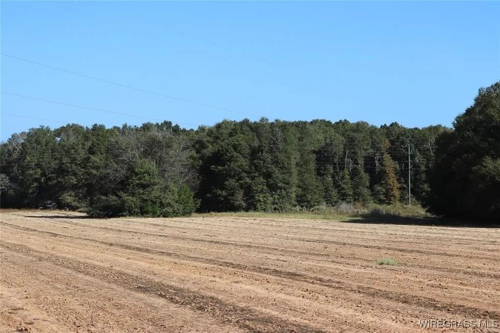 Vacant Land in Enterprise - Enterprise, Alabama, 36330