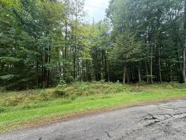 Lots & Land-Other in Mount Gilead - Mount Gilead, Ohio, 43338