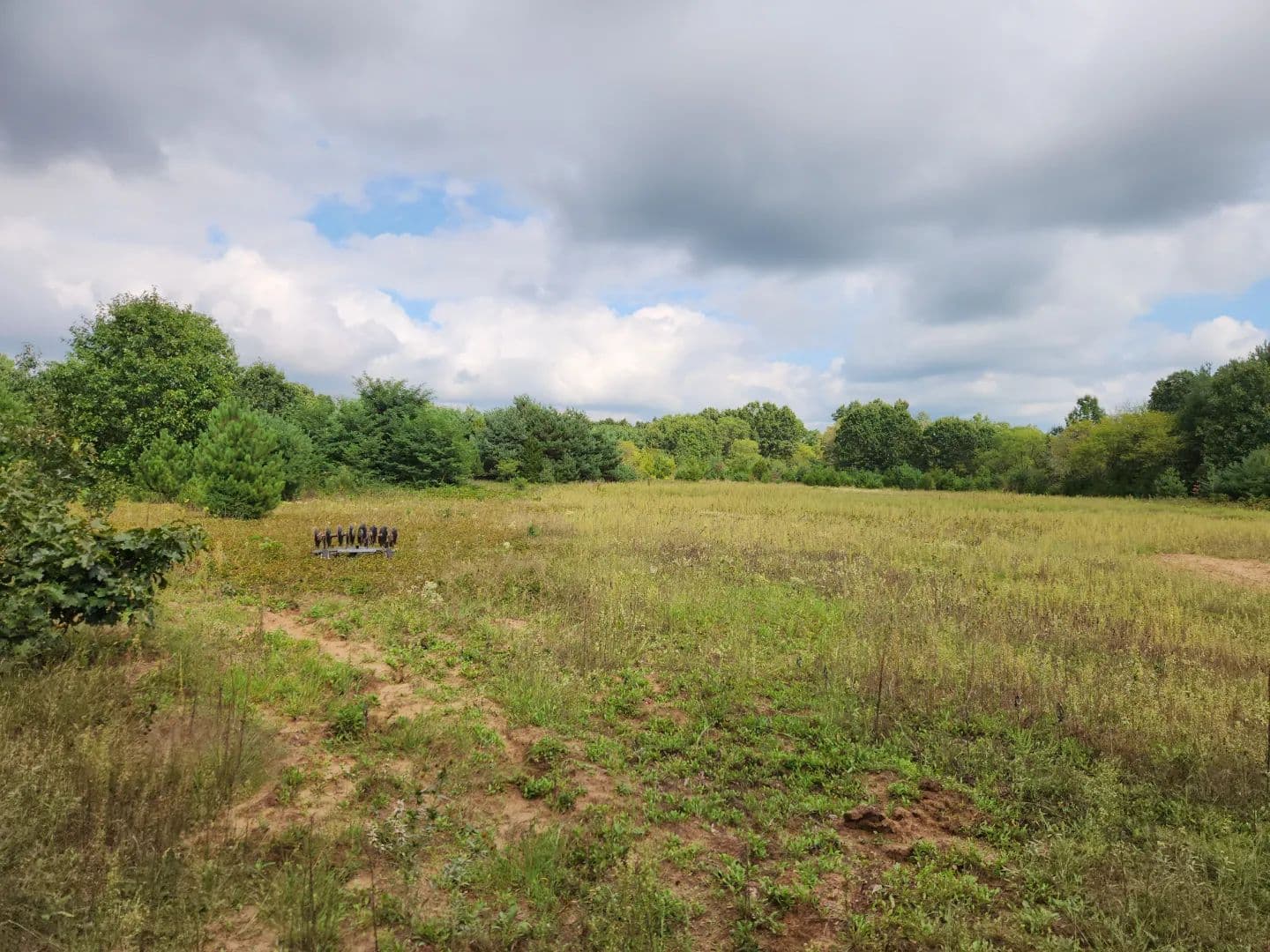52 Acres of Trophy Whitetail Deer Hunting in Columbia County WI - Portage, Wisconsin, 53901