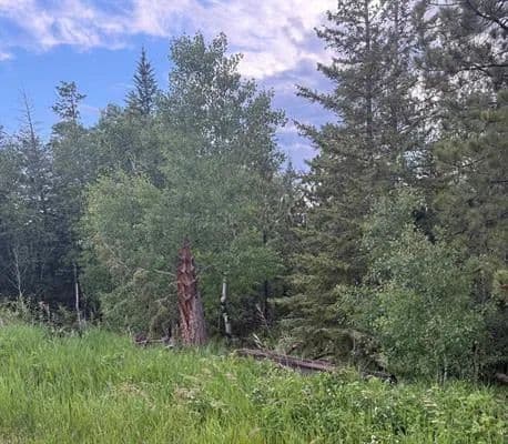 Vacant Land in Lead - Lead, South Dakota, 57754