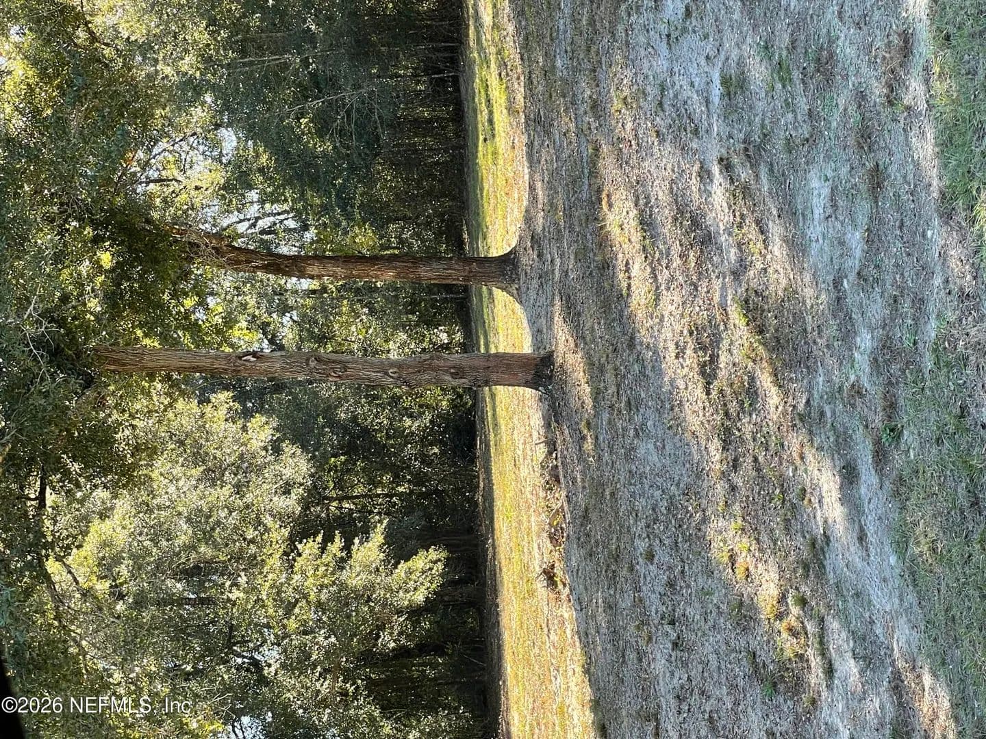 Property from 1721 HAGANS RIDGE Court - KW - Green Cove Springs, Florida, 32043