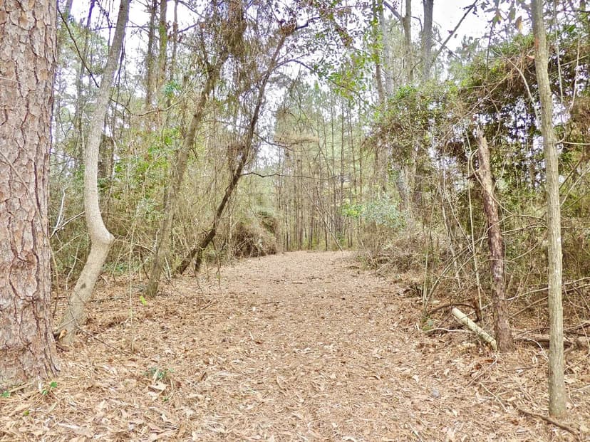 Lots & Land-Other in Sumrall