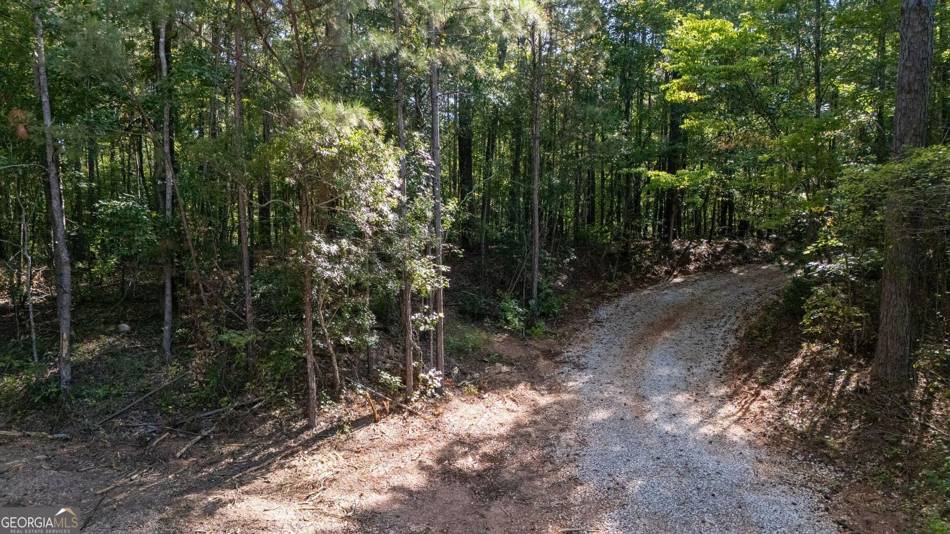 Vacant Land in Franklin - Franklin, Georgia, 30217